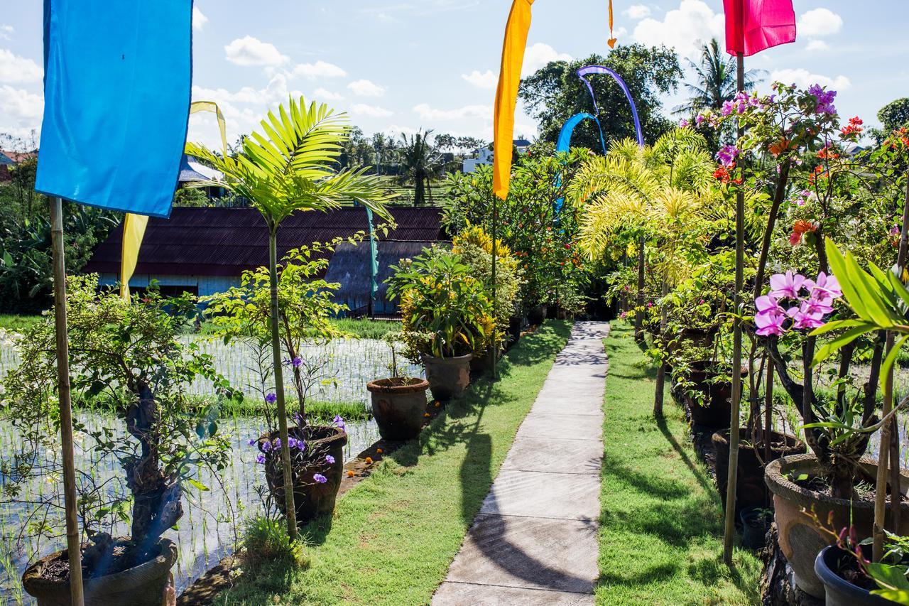 Matra Bali Guesthouse Чангу Екстер'єр фото